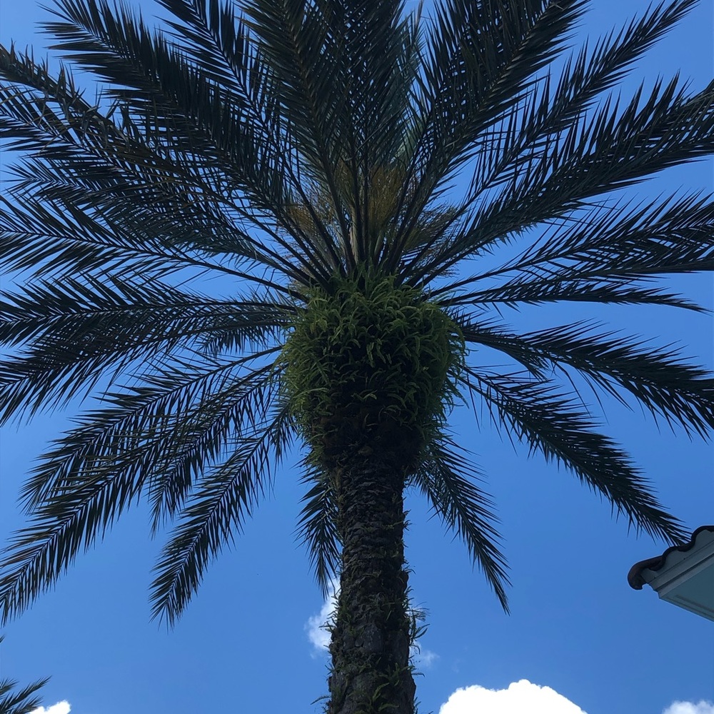 Meet your Posher, JB. Offers welcome and bundle to save! Non-Smoking.